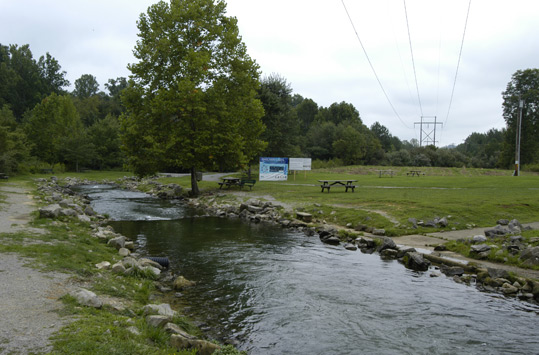 Hatchery Creek below the National Fish Hatchery at Wolf Creek Dam, Kentucky.